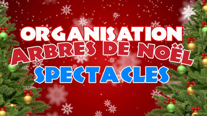 Organisation de vos spectacles de noël en France: Rouen , Metz, Annecy, Le Mans...