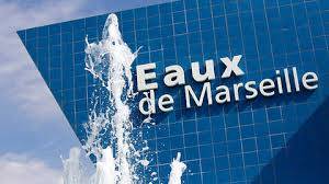 La Société des Eaux de Marseille ont confié l'organisation du spectacle de leurs festivités à NS World